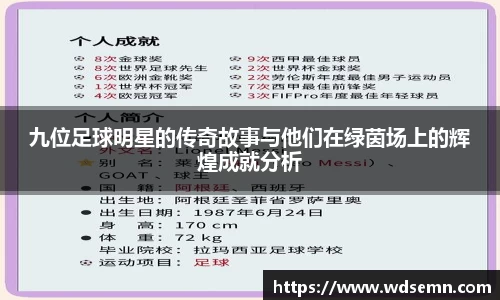 九位足球明星的传奇故事与他们在绿茵场上的辉煌成就分析